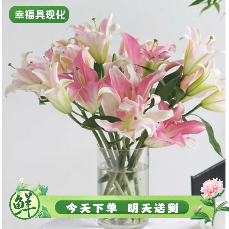 特价【次日达·索尔帮百合】鲜花香水百合索尔帮3头3支鲜切花生活鲜花·基地直发·批发·全场京东包邮次日达