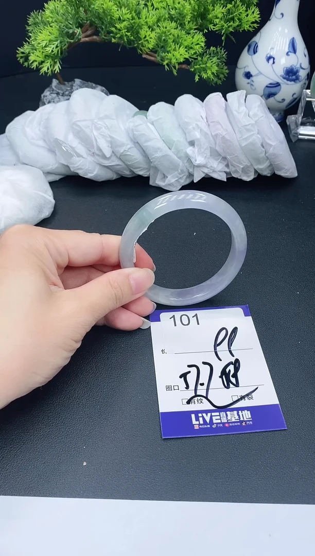 未镶嵌手镯翡翠101