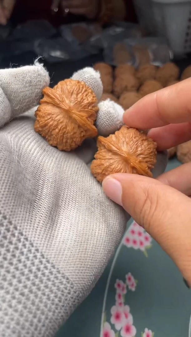 核桃a212 血麒麟 37尺