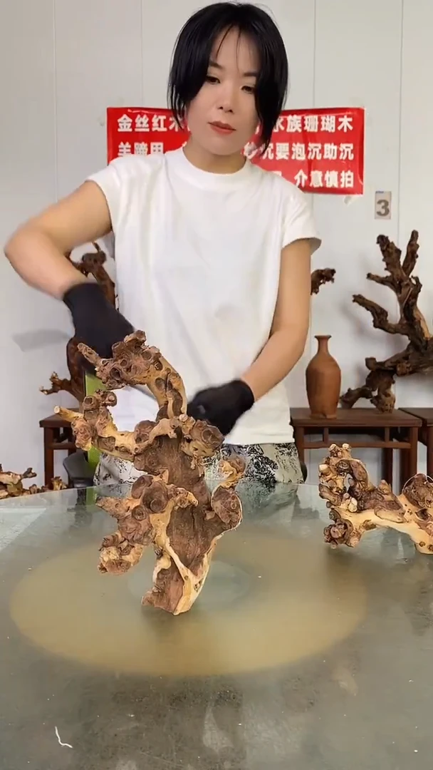 香榧木惠*金丝红木   羊蹄甲