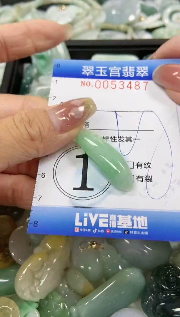 【闪购商品】翡翠颈饰未镶嵌闪购0053487