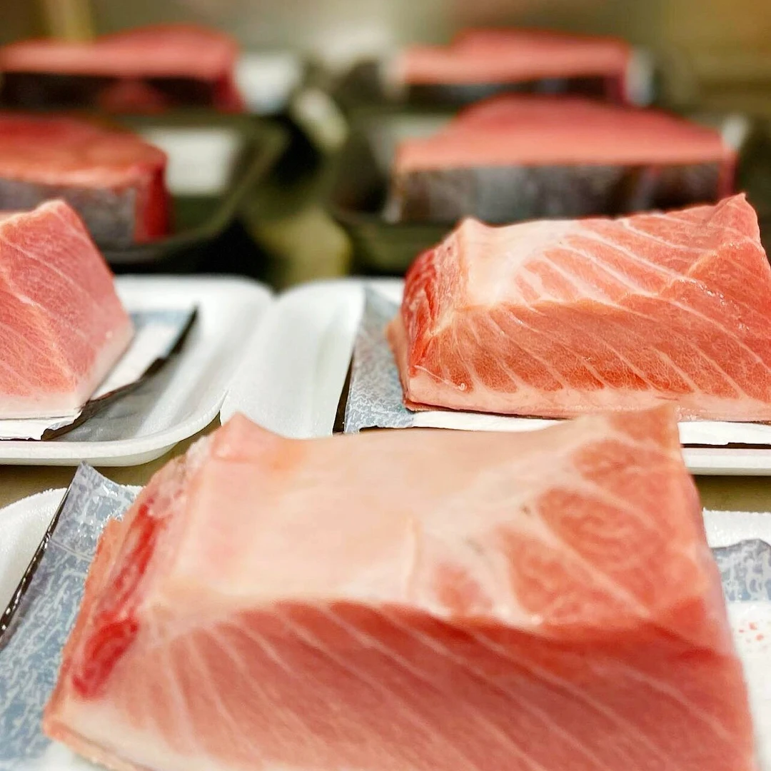 【超低温蓝鳍金枪鱼大腹】蛇腹大腹刺身