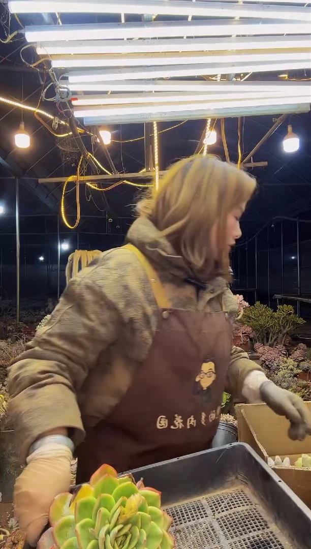 【闪购商品】框拍2号一物一拍微瑕不售后