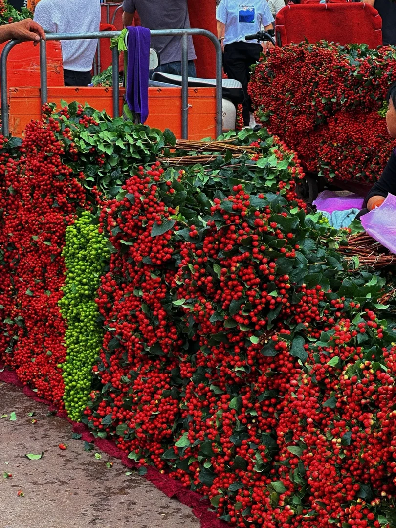 【红豆】相思豆红豆转运珠花期久 任意满两单鲜花包邮（坤）