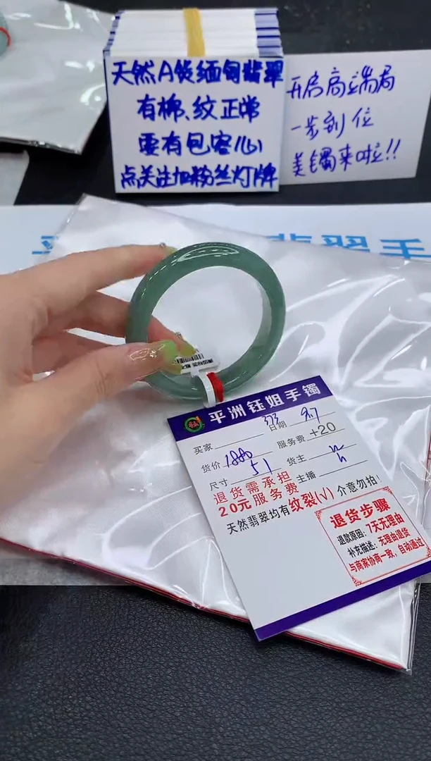 未镶嵌手镯翡翠1