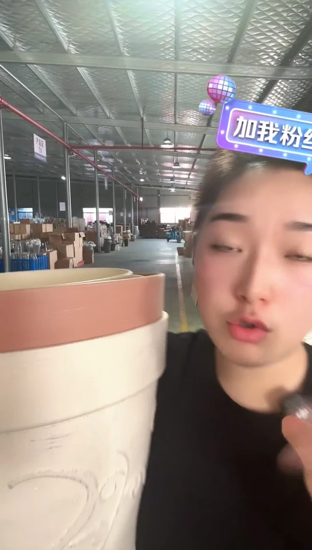 美****616寸两道筋紫苏8只装整箱