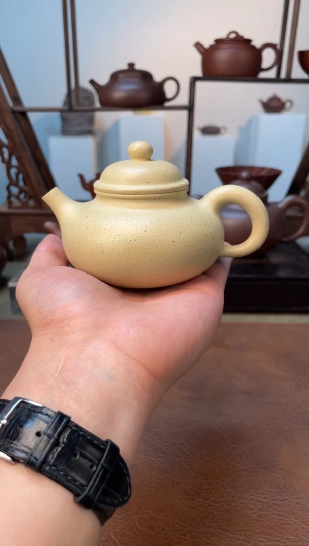 茶壶紫砂@@AH16915 陈小平 容天