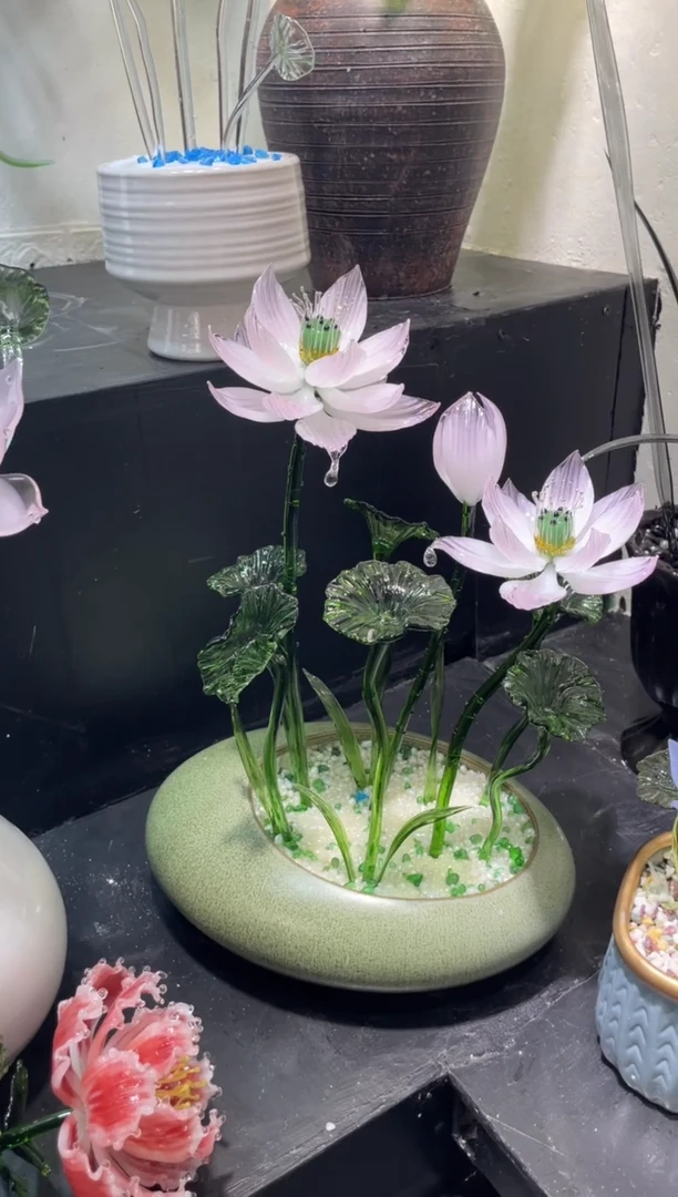 琉璃19荷花 上新福利价