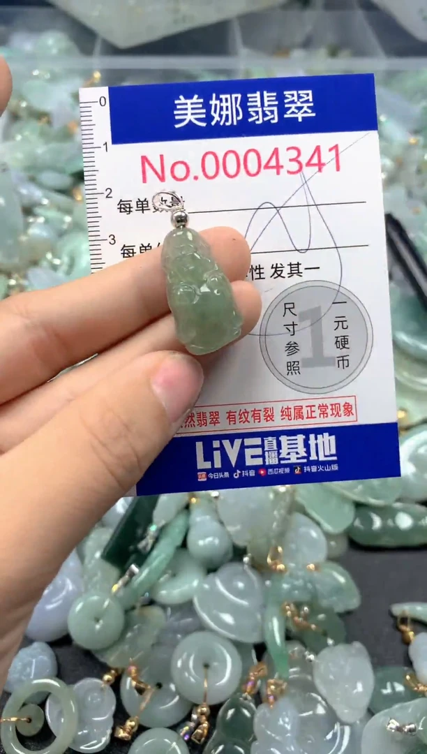 颈饰未镶嵌翡翠4341