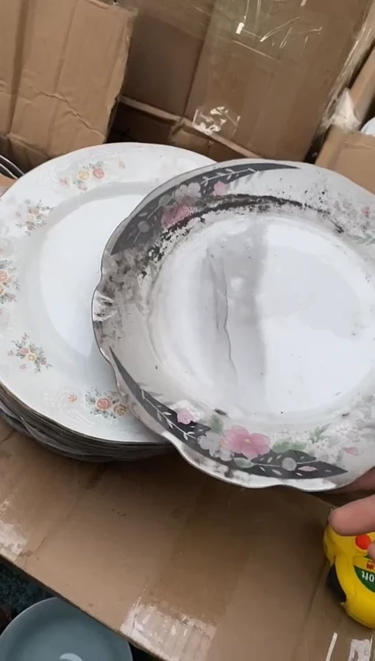 【闪购商品】龙珠阁老货8寸平盘