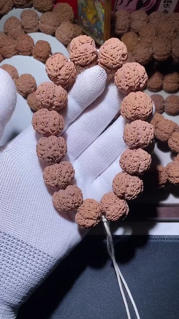 【闪购商品】金刚菩提手串超头针孔粗筋梅花双龙21