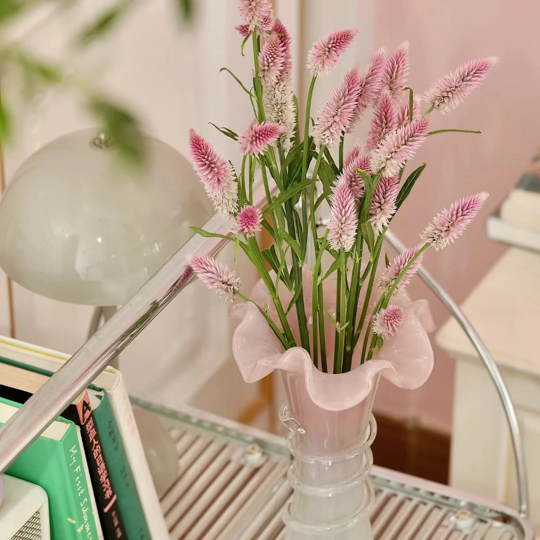 【夏日不死鸟】凤尾花丨可做干花丨粉粉的仙女棒基地直发丨