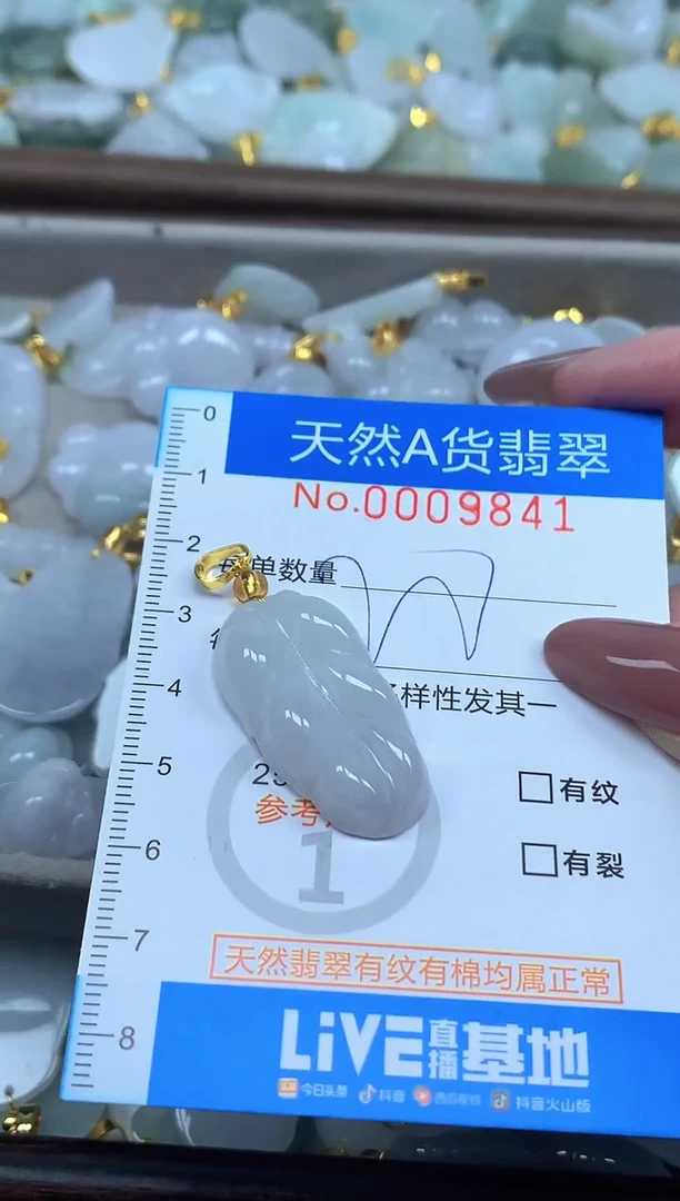 颈饰未镶嵌翡翠净货挂件-9841