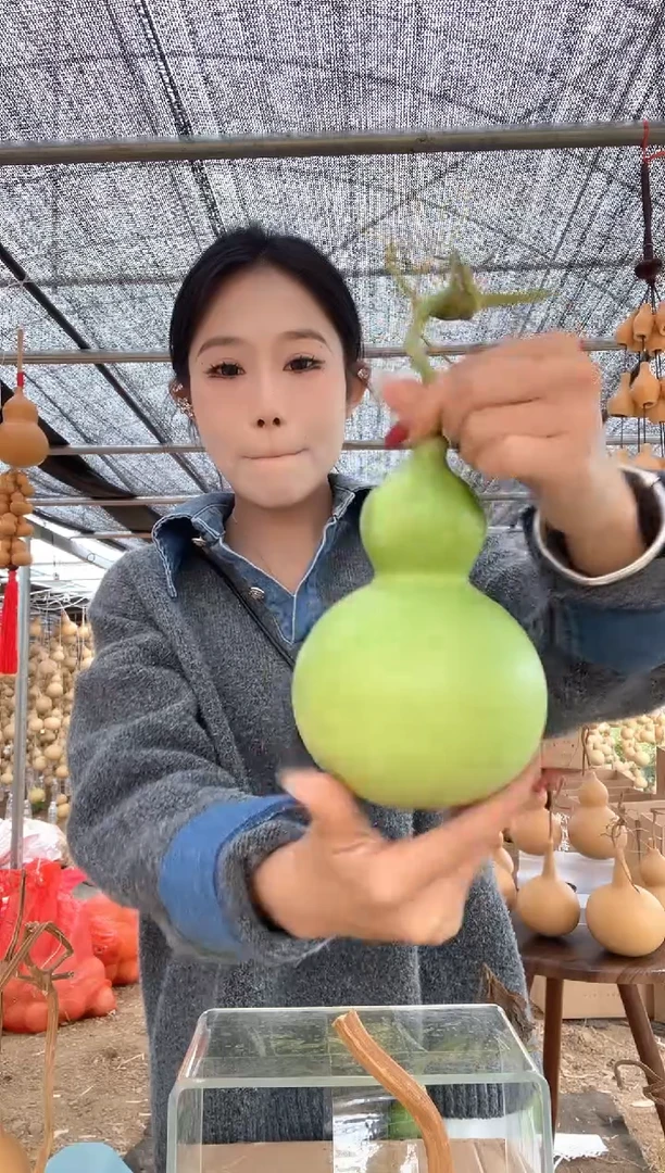 891天然葫芦摆件 一物一拍龙头不保售后