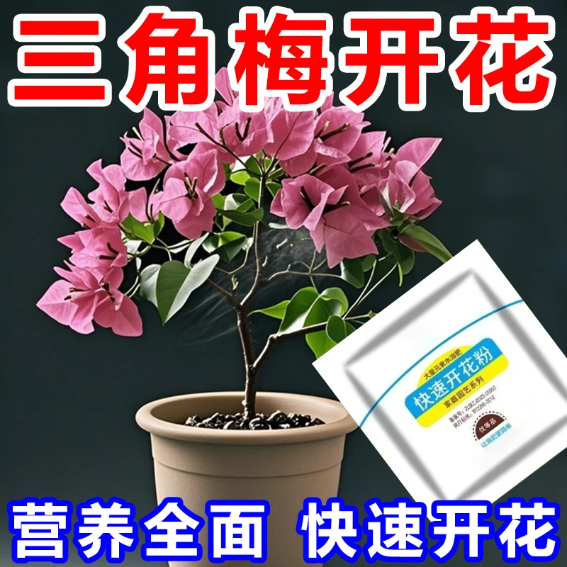 快速开花粉三角梅茶花茉莉盆栽通用型促花生根壮苗园艺家用爆花肥