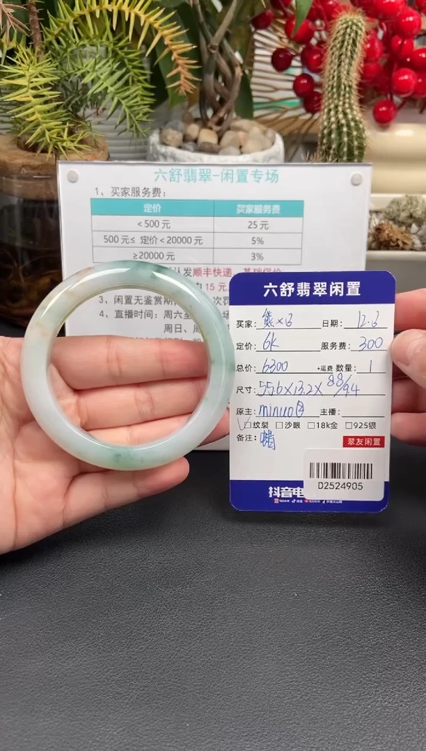 未镶嵌手镯翡翠?*?D2524905
