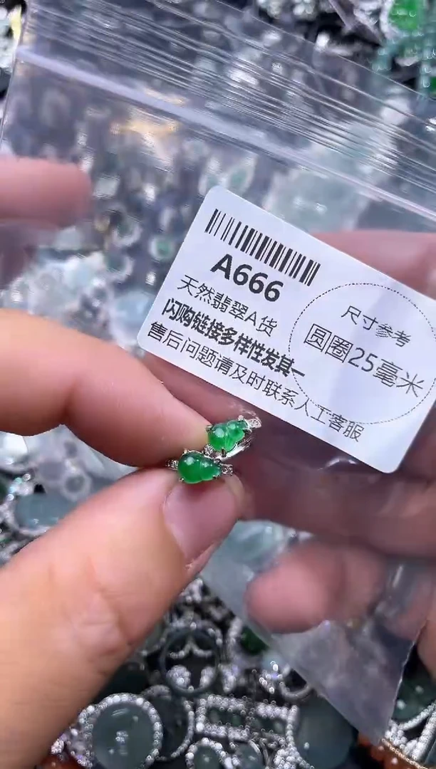 【闪购商品】翡翠颈饰未镶嵌A666耳扣