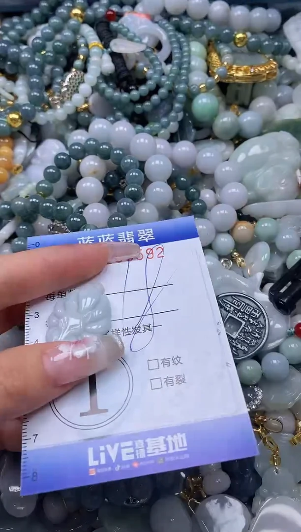 【闪购商品】翡翠颈饰未镶嵌闪购0169592