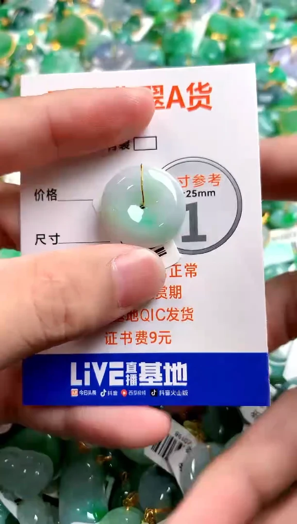 颈饰未镶嵌翡翠25100847