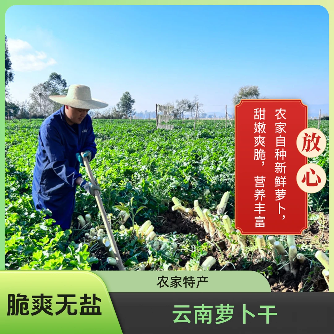 云南农家美味萝卜干