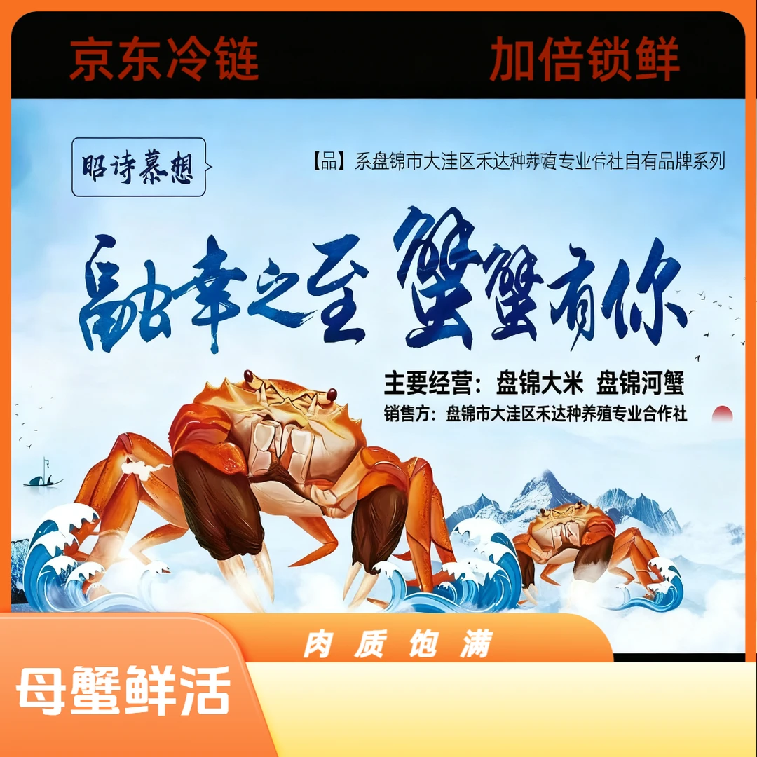 活蟹 盘锦河蟹 全母蟹1.1-1.3两/25只 /3斤装