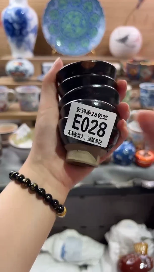 瓷片          E028