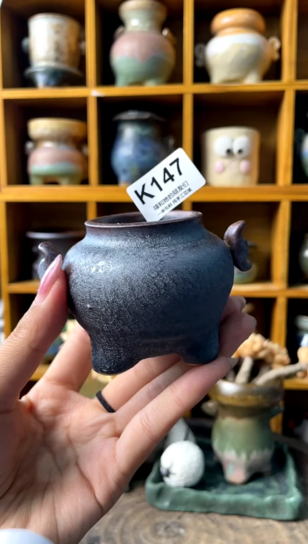 别****彩147【多肉花盆多肉盆】