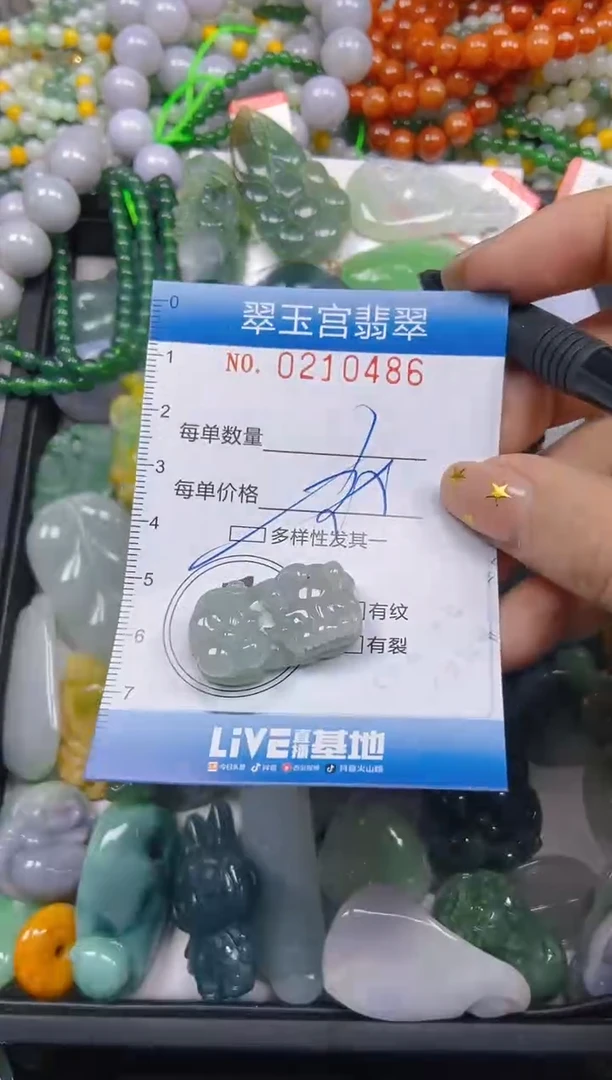 颈饰未镶嵌翡翠闪购C0210486多样性发其一