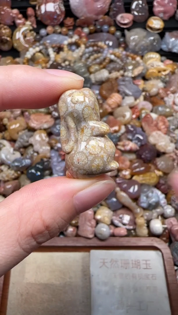 颈饰未镶嵌硅化珊瑚（珊瑚玉）508