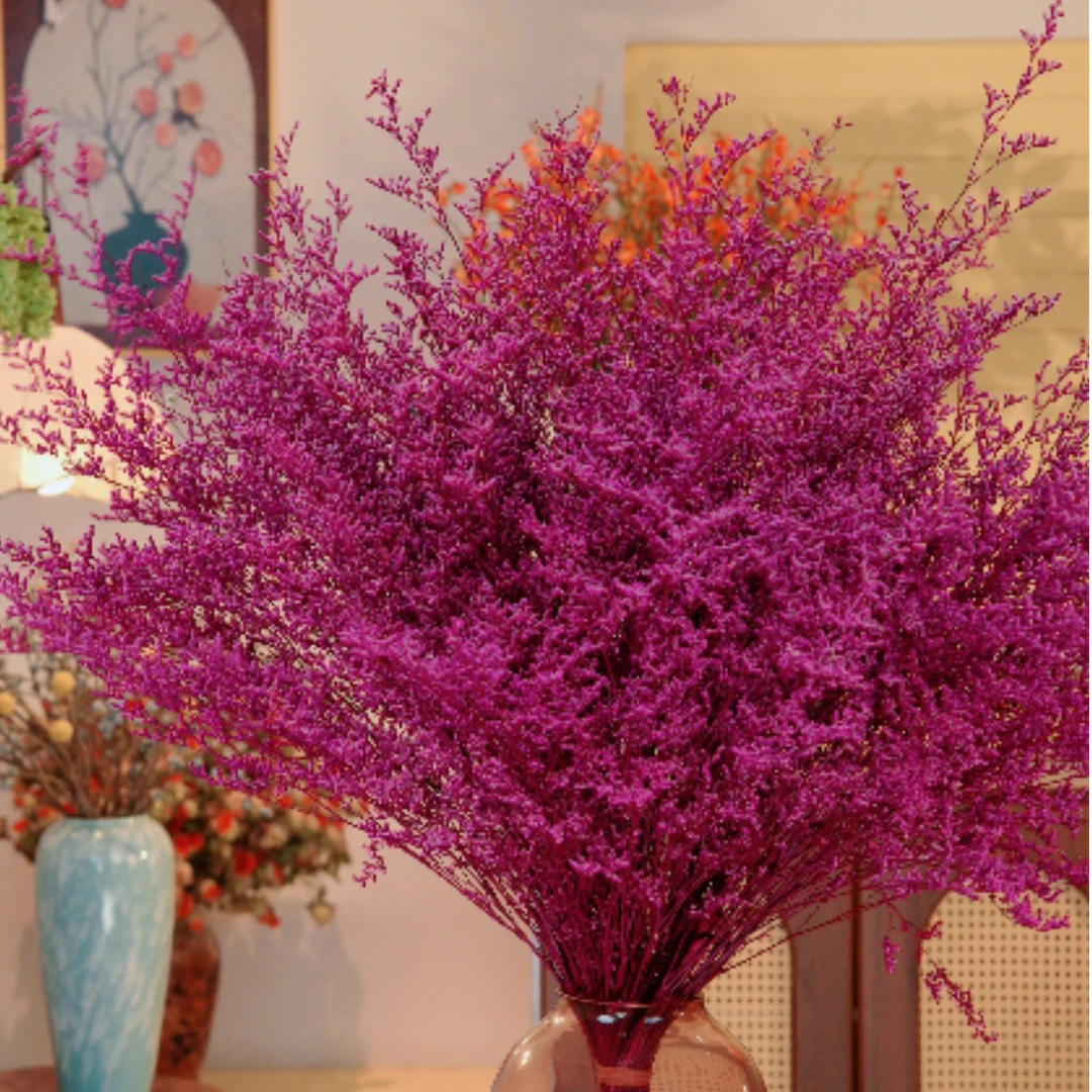 【澳洲菠萝尼亚】小众花材澳洲菠萝尼亚水晶草永生花花束