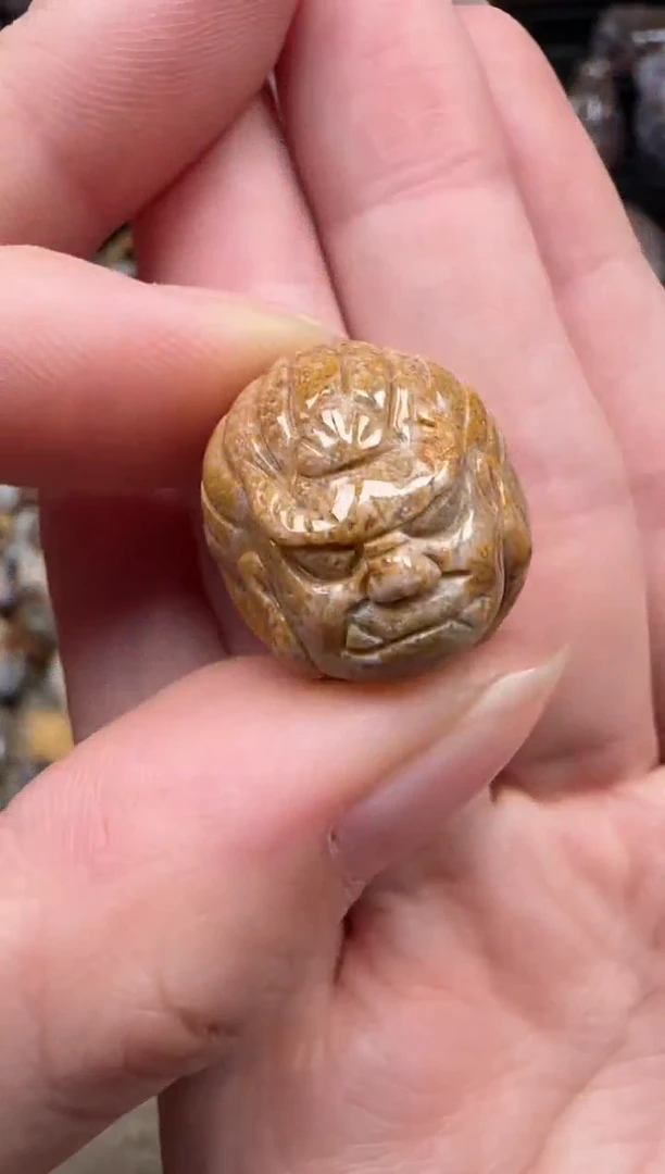 颈饰未镶嵌硅化珊瑚（珊瑚玉）539