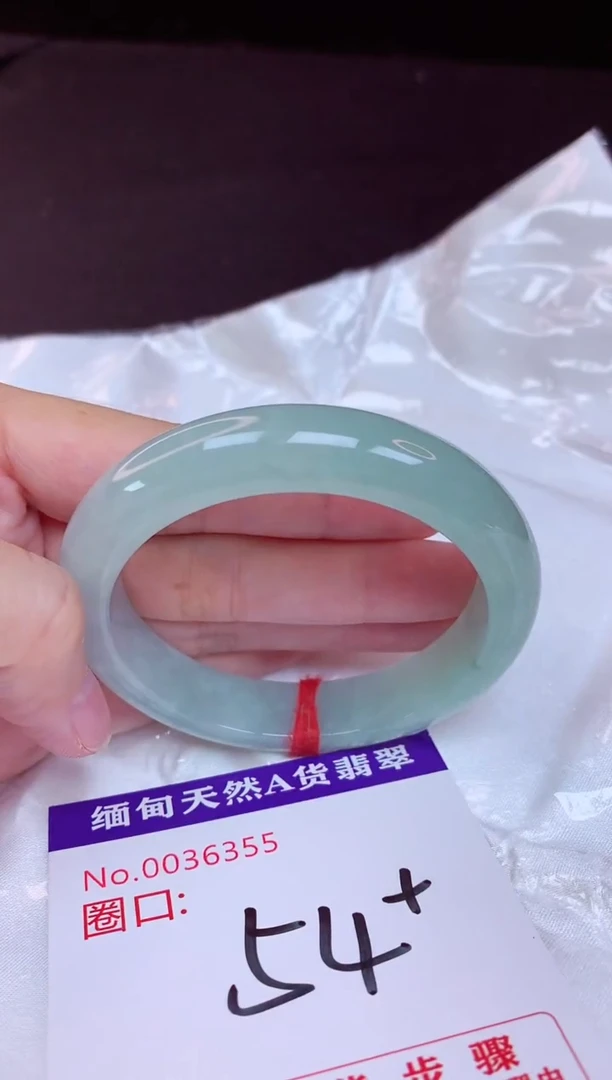 未镶嵌手镯翡翠54