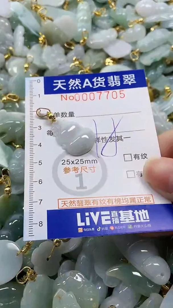 颈饰未镶嵌翡翠纯天然a货翡翠