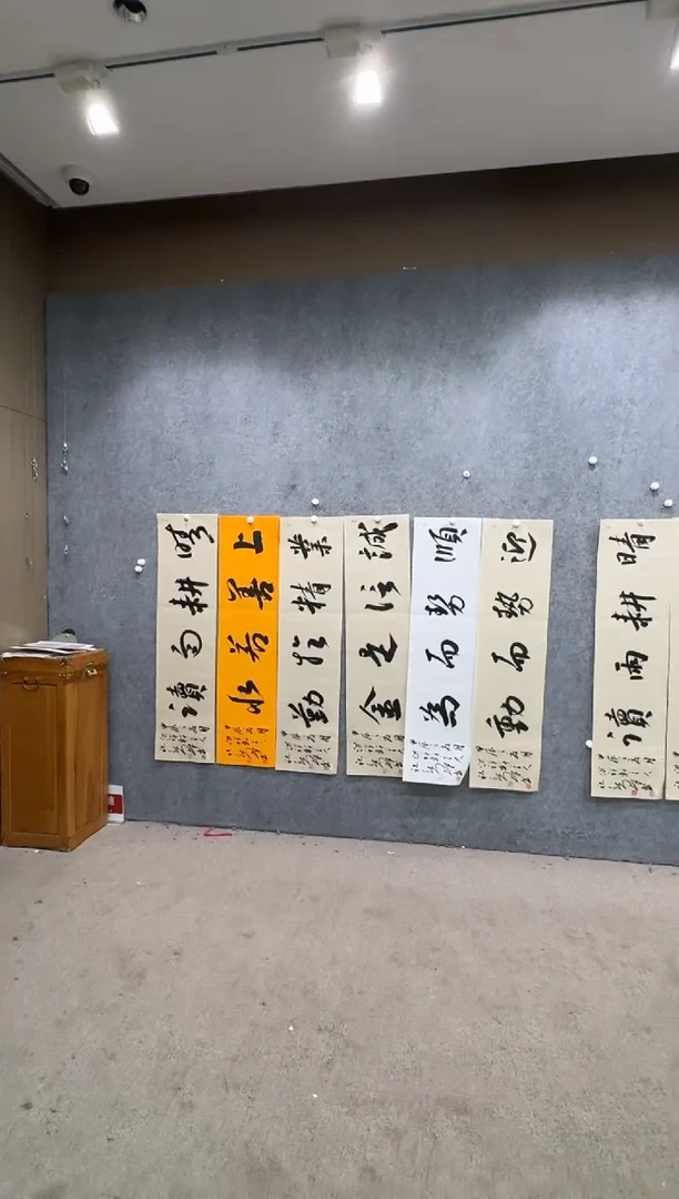 【闪购商品】书法pmw不二轩旗舰店书法ZXQ7