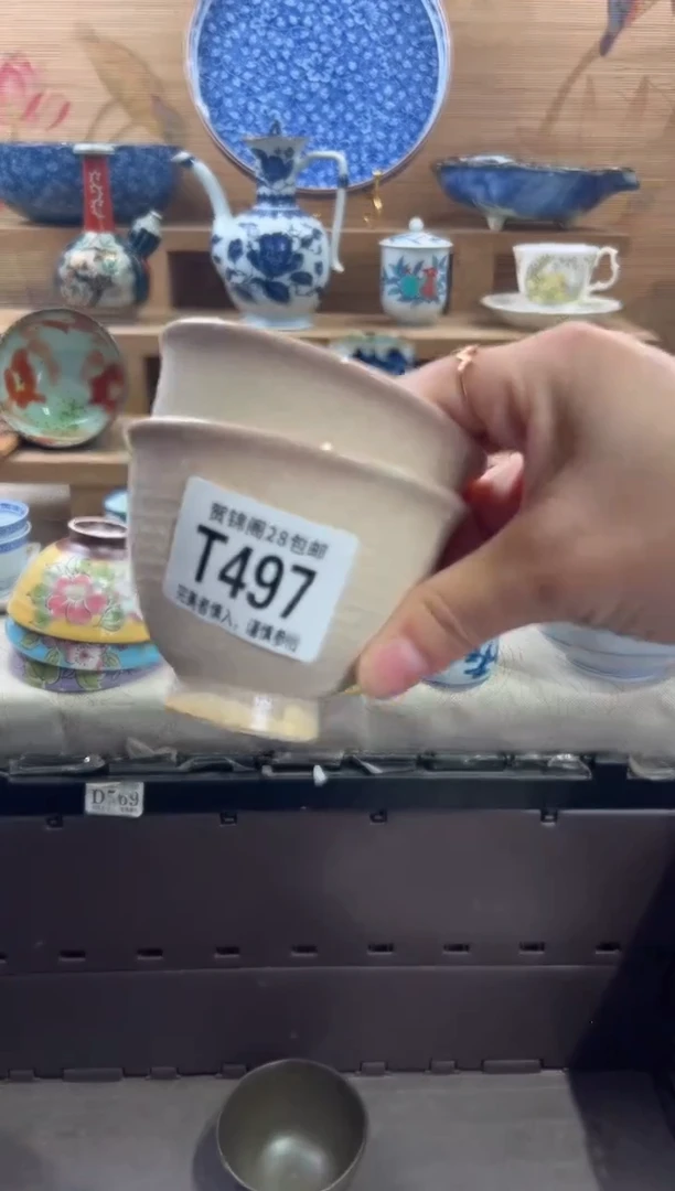 瓷片木**贝     T497