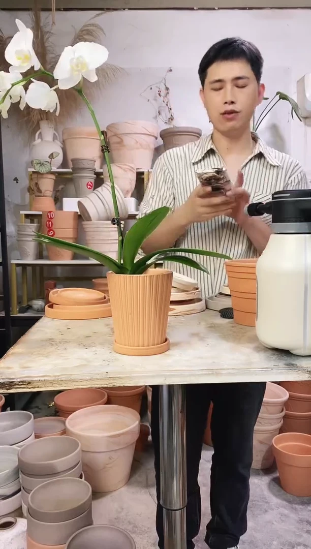 11*13红陶竖纹 1盆1托