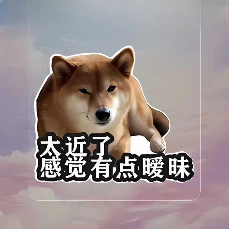 太近了感觉有点暧昧柴犬保持车距创意趣味贴汽车车身装饰贴反光贴