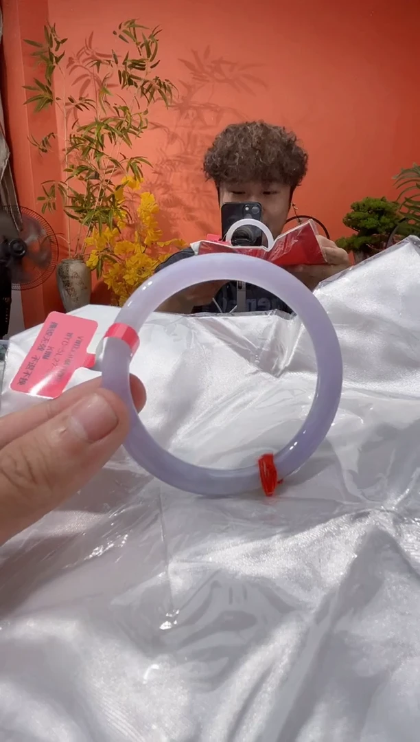 未镶嵌手镯翡翠4