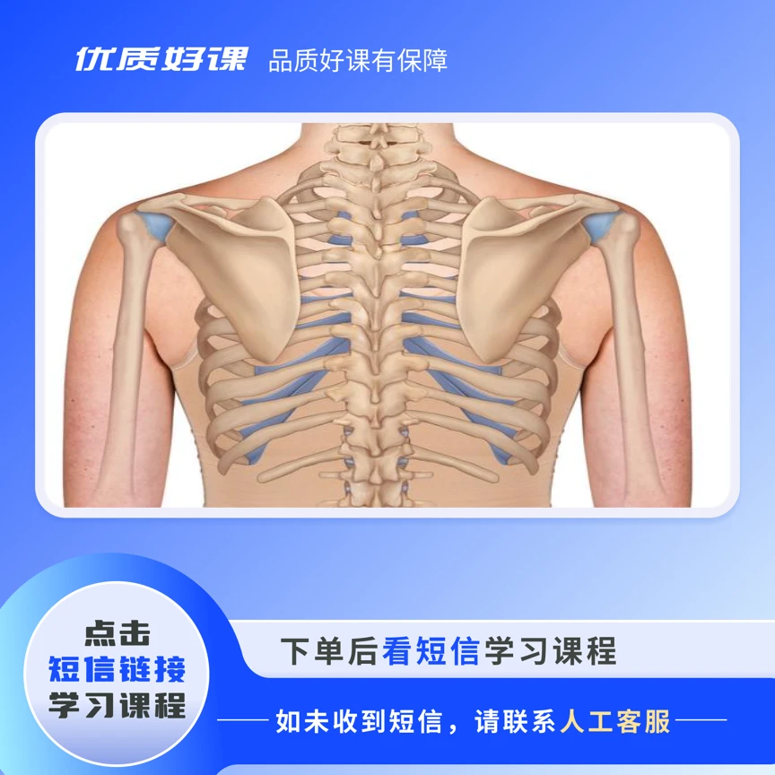 肌肉彩绘图谱图书