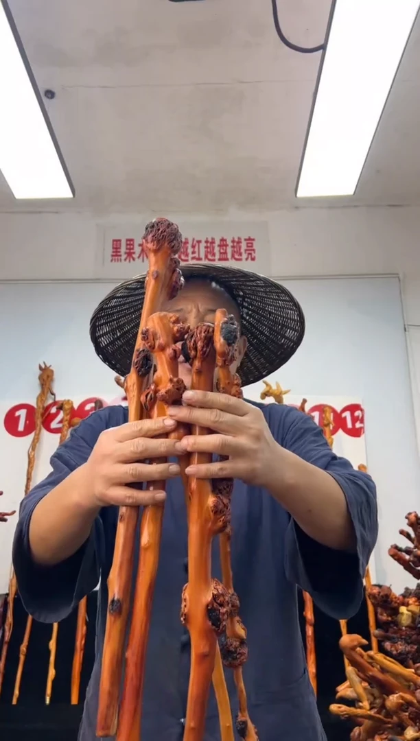 黑果木其他黑果木693