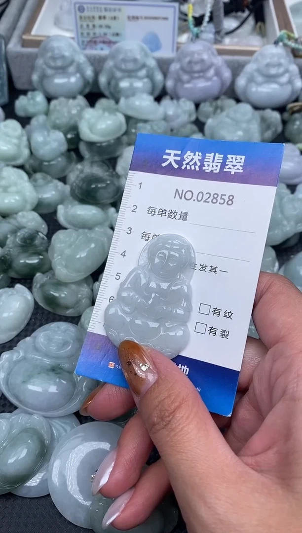 颈饰未镶嵌翡翠纯天然A货翡翠2858