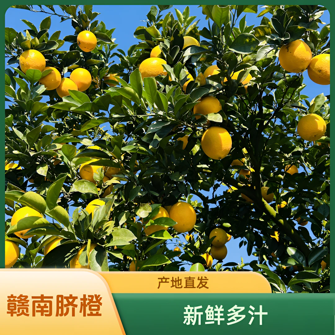 赣南脐橙新鲜采摘产地直发皮薄香甜多汁当季水果带叶现摘