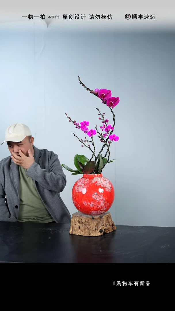 【闪购商品】089号链接【一物一拍】艺术盆景