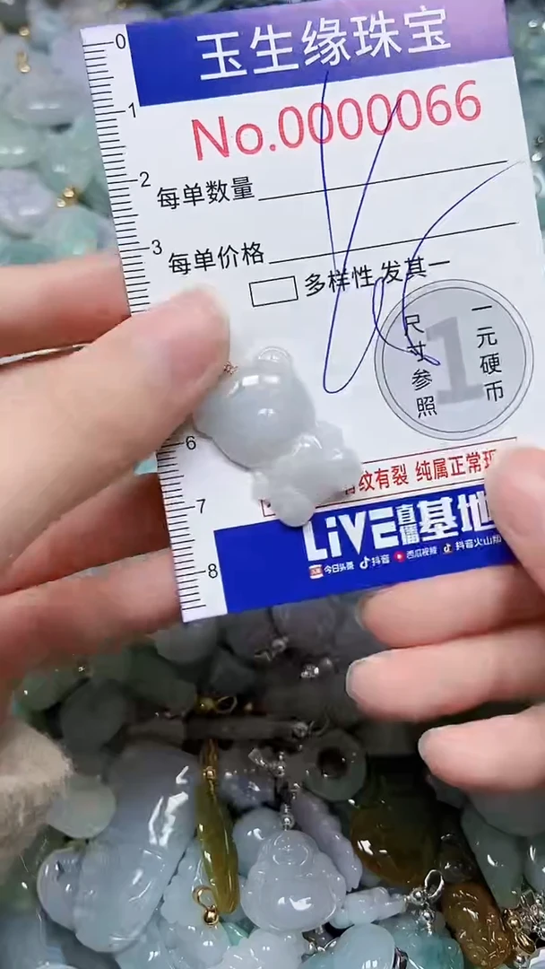 【闪购商品】翡翠颈饰未镶嵌闪购00000066