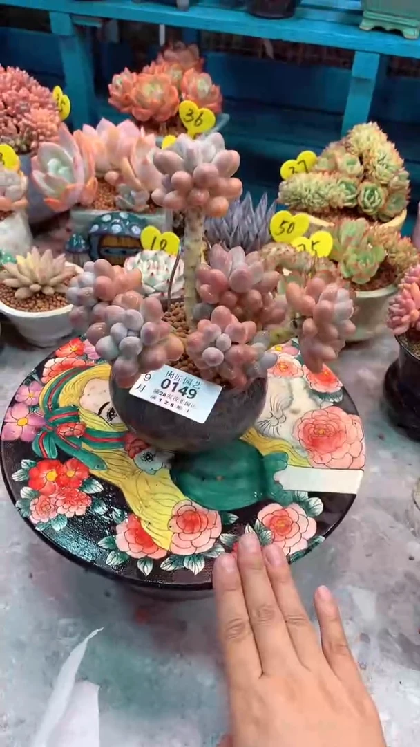 米****40149-物流送盆