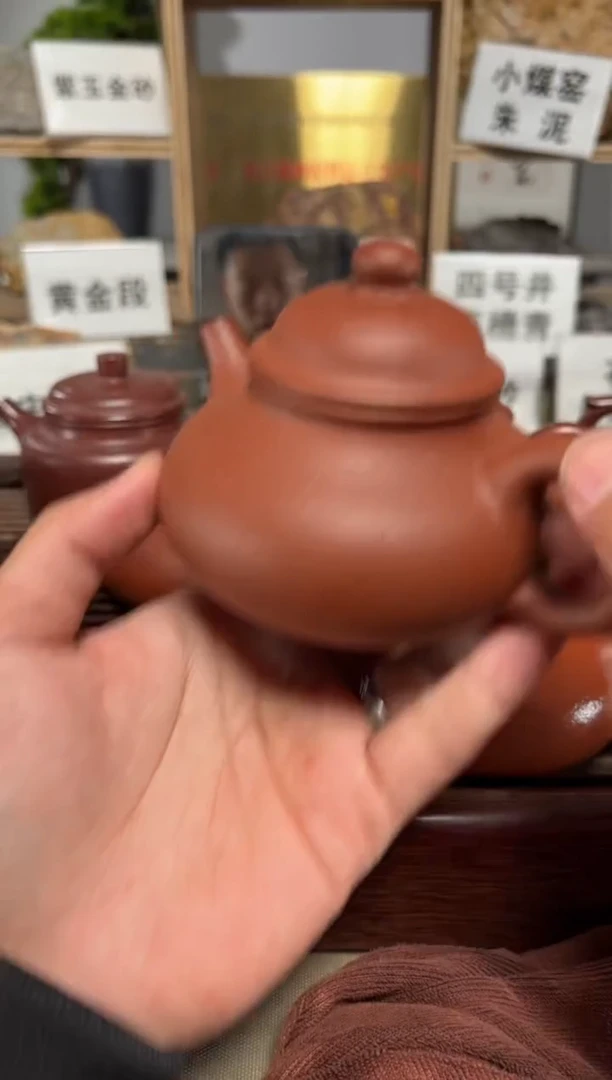 紫砂茶壶龙血砂容天
