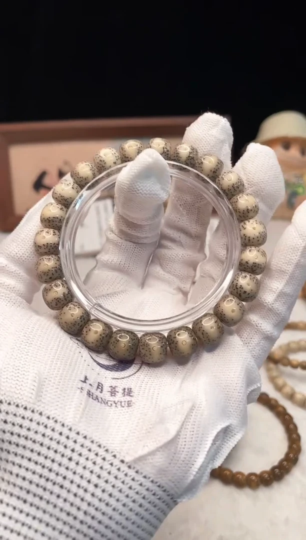 手串星月菩提o47 a264 10x9 e04