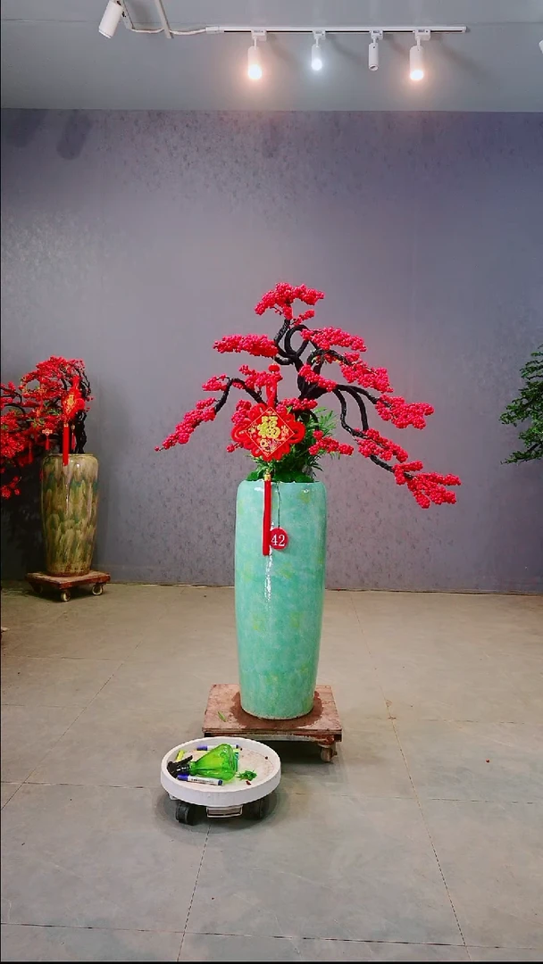 完全开放王*北美冬青