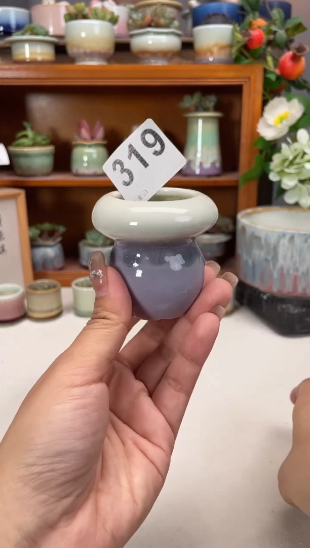 瓷片319知木小芳花盆