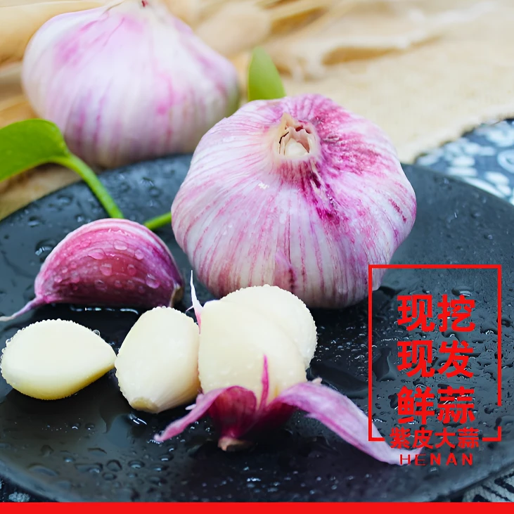 25年现挖新鲜紫皮大蒜湿蒜腌菜调味糖蒜蔬菜5斤包邮涮菜煲汤炒菜